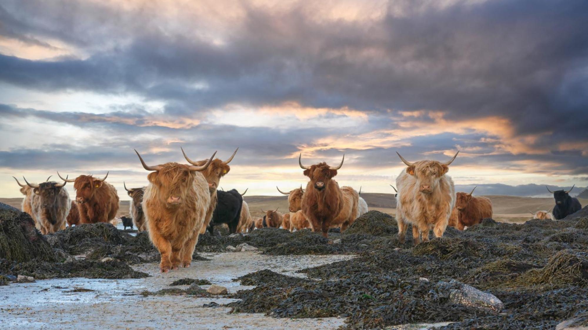 North Uist Lodges Tigharry Экстерьер фото
